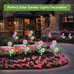 2 Pack Upgraded Decorative Solar Lights Garden Decor