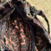 B.Makosky multi color and Genuine leather Satchel bag in good condition