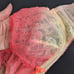 Victoria's Secret VS Very Sexy Neon Pink Ombre Eyelash lace bra 32DD underwire
