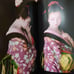 Hoshino Komaro - New Ukiyo-e Fancy Collector's Edition