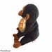 Beanie Baby Congo 1996 Great Condition