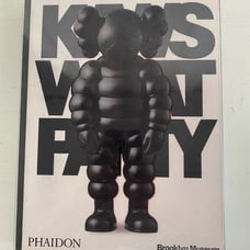 Kaws What Party Phaidon Brooklyn Museum Black Hard Cover Book Black Edition Rare