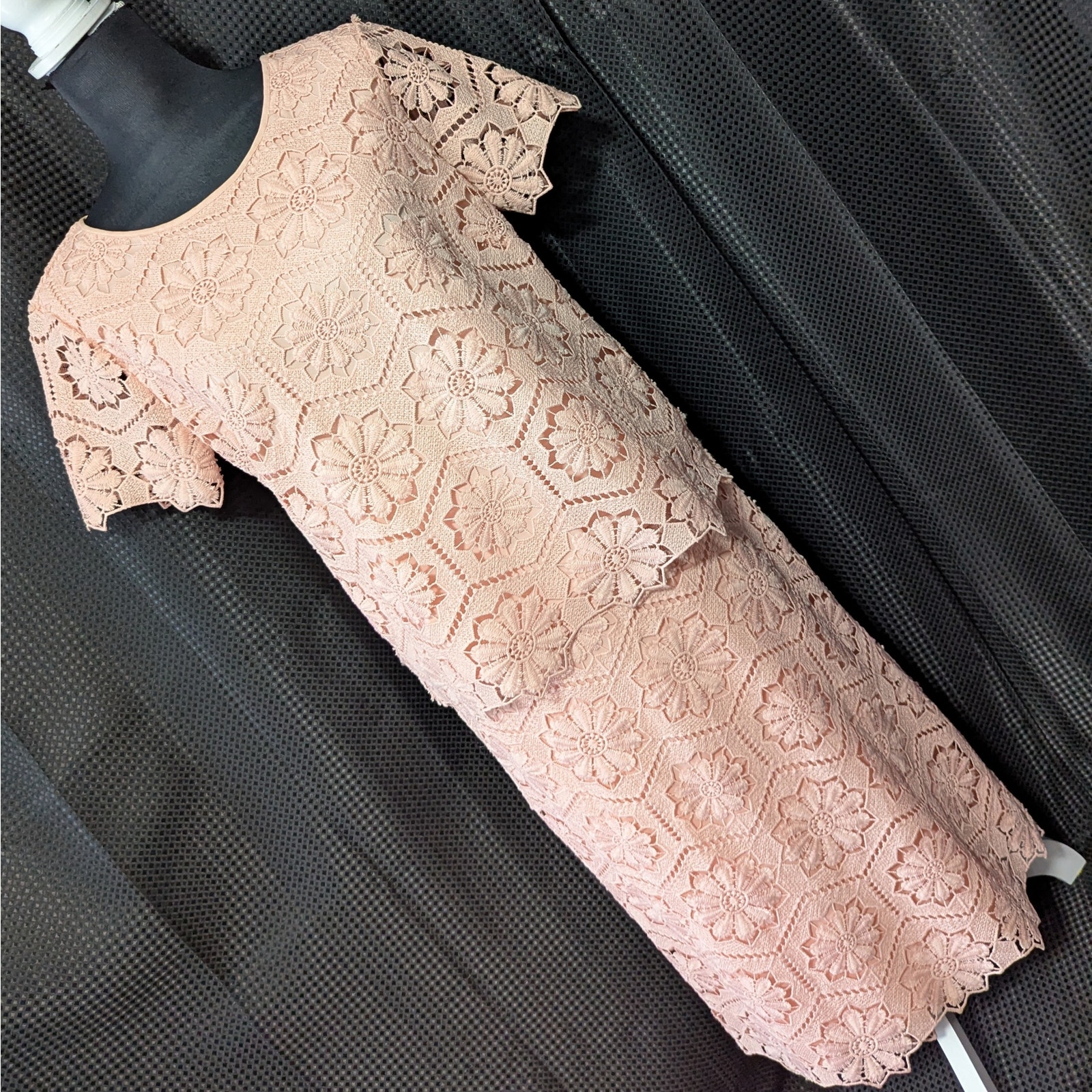 NWOT! PRESTON & YORK! SOFTEST SHELL/SALMON PINK LACE SKIRT & TOP SET, SUIT! SZ S