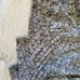 Soft Surroundings Ribbed Loose Fit Gray Tunic Sweater Assymetric Hem Sz Medium
