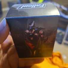 Mtg Fallout Scrappy Survivor deck