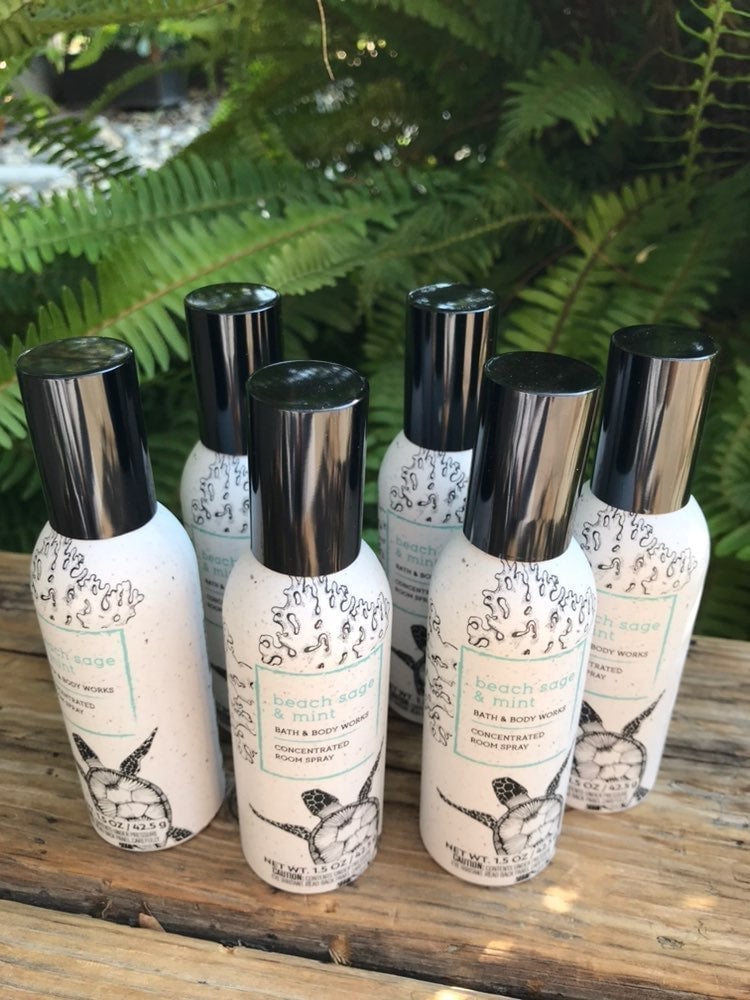 Bath & body works room spray Beach Sage & Mint