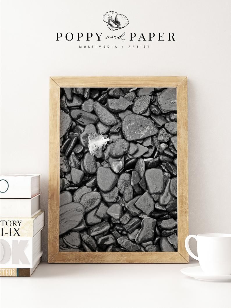 Black and White Rocks and Feather Photog