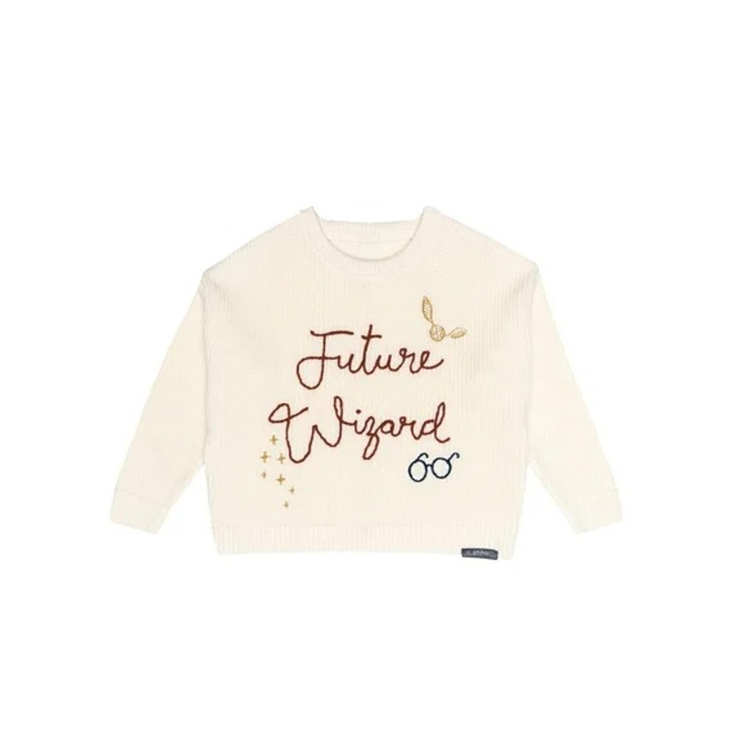 Harry Potter Future Wizard Toddler Sweater Unisex Size 3T