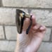 Burberry Sunglasses with Case