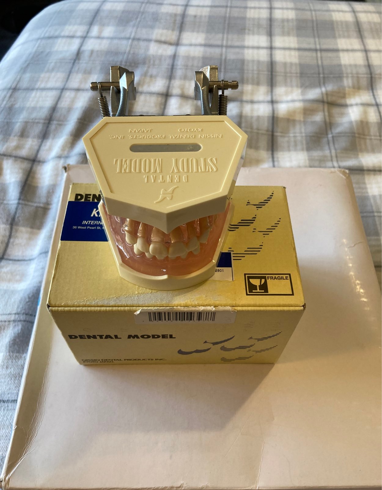 その他 NISSIN dental model Nissin Dental Model | Asian Medicos Enterprise