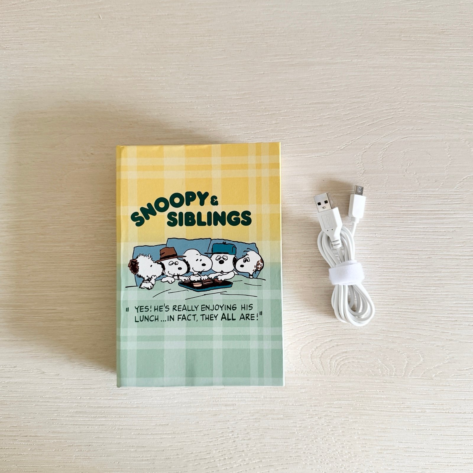 Snoopy PEANUTS Book-shaped Lamp LED Light Rechargeable
