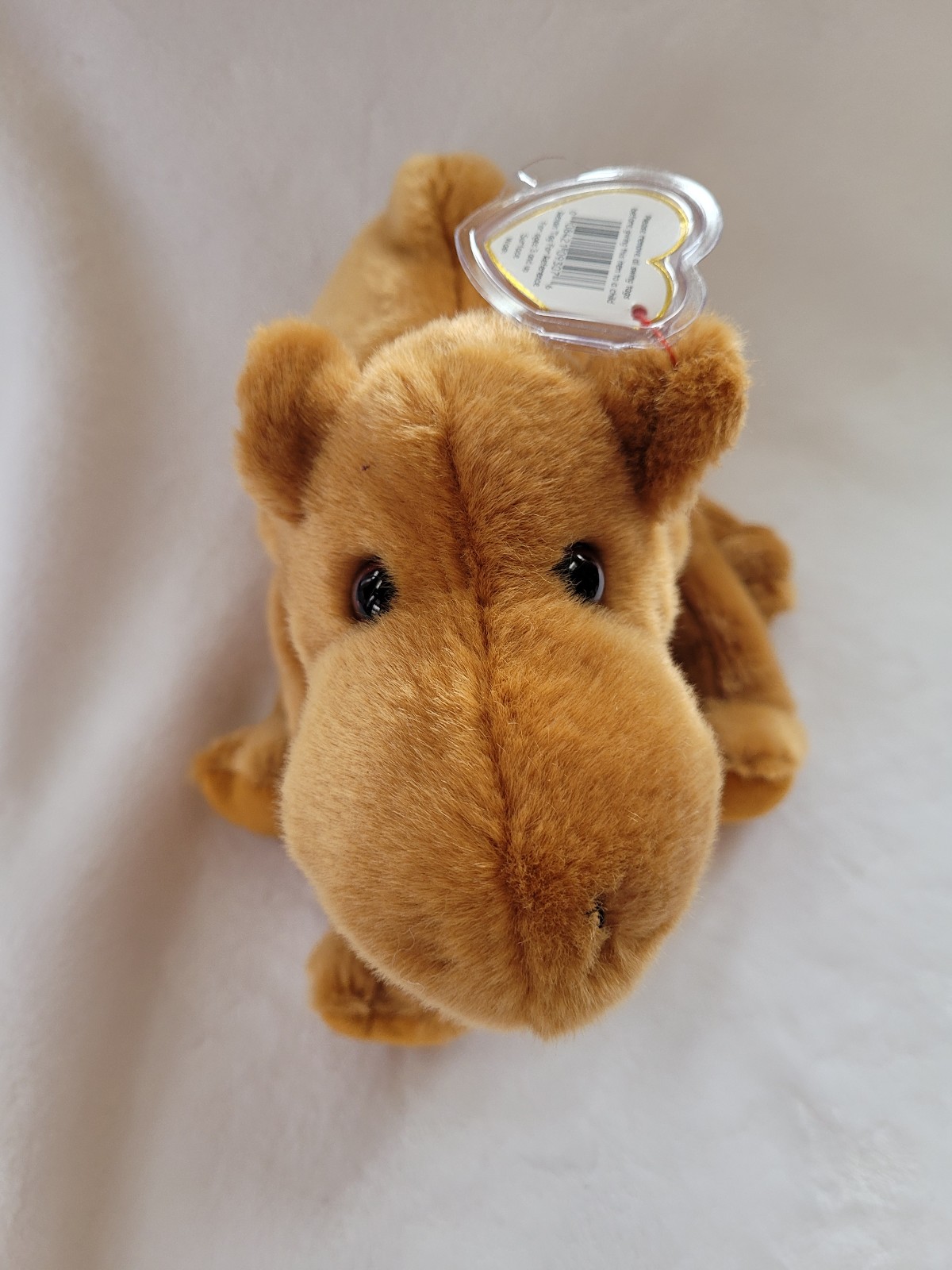 Ty Beanie Buddy 'Humphrey' the Camel 1998 Retired & RARE