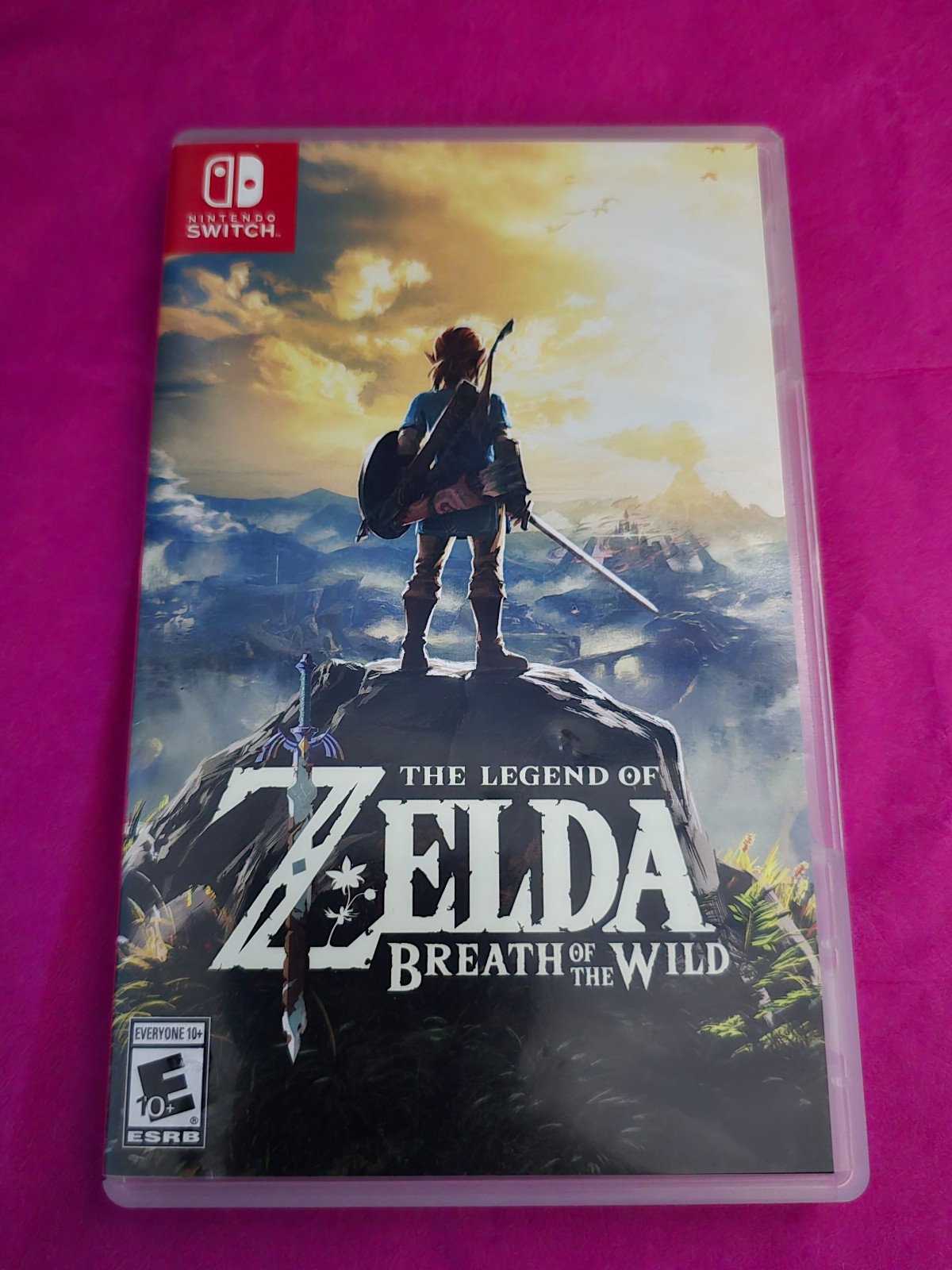 The Legend of Zelda: Breath of the Wild - Nintendo Switch-Game Is in Exc Conditn