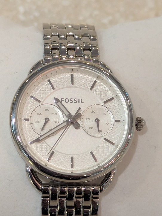 Fossil Stainless Watch ES3545