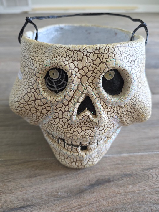 Large Skull Candy Bucket 10”