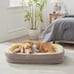 High Density Egg Crate Foam Dog Sofa Bed