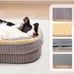 High Density Egg Crate Foam Dog Sofa Bed