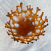 Rootbeer Glass Coral Branch Bowl