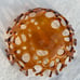Rootbeer Glass Coral Branch Bowl
