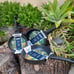 D&W cookware skillets and casserole 5 piece black new