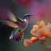 Hummingbird Artwork