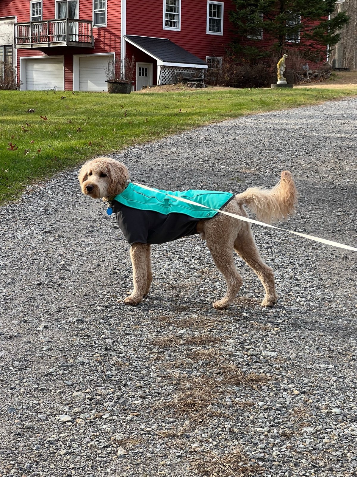 Ruffwear Cloud Chaser (S) Jacket
