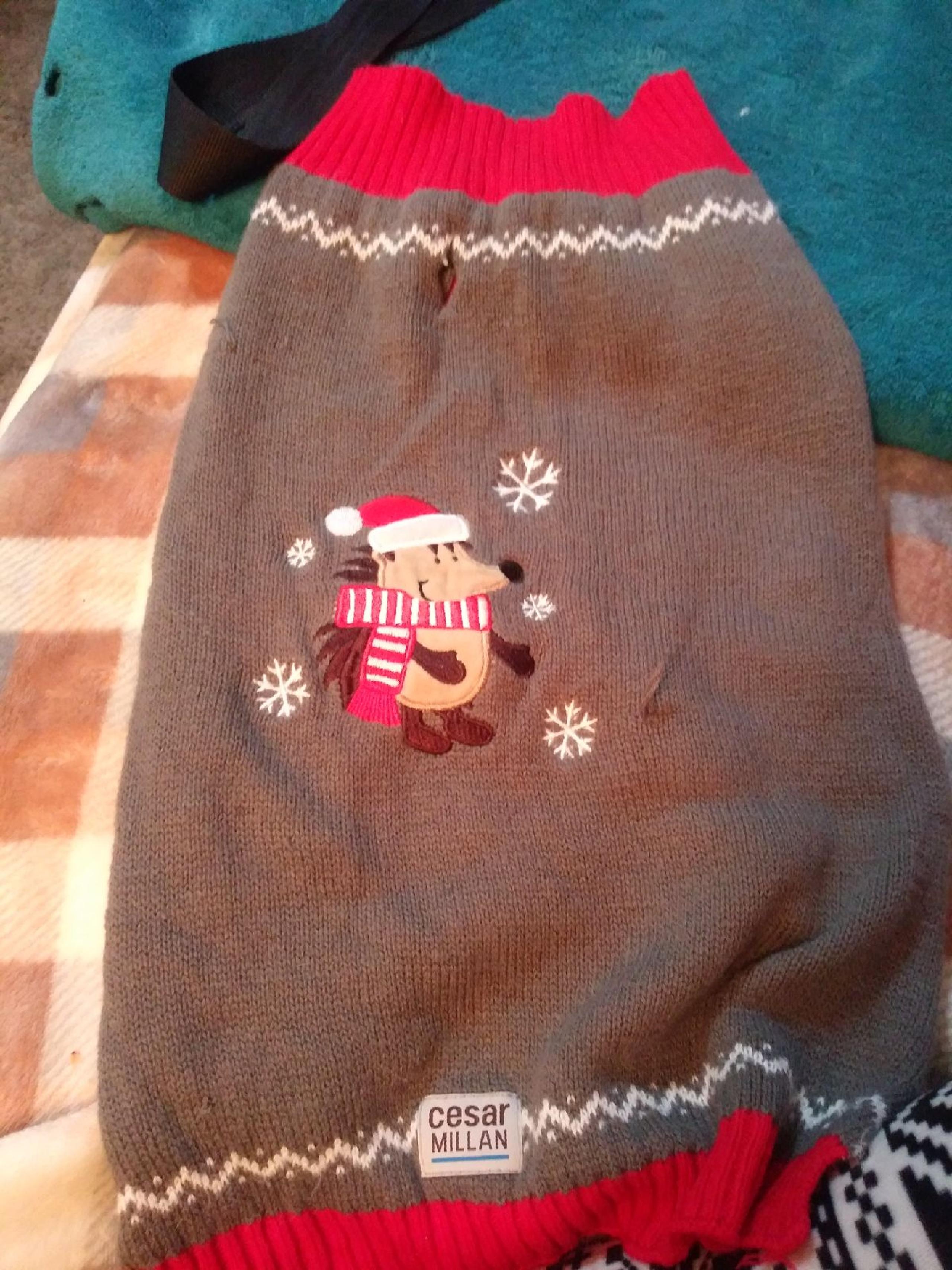 Dog Sweater