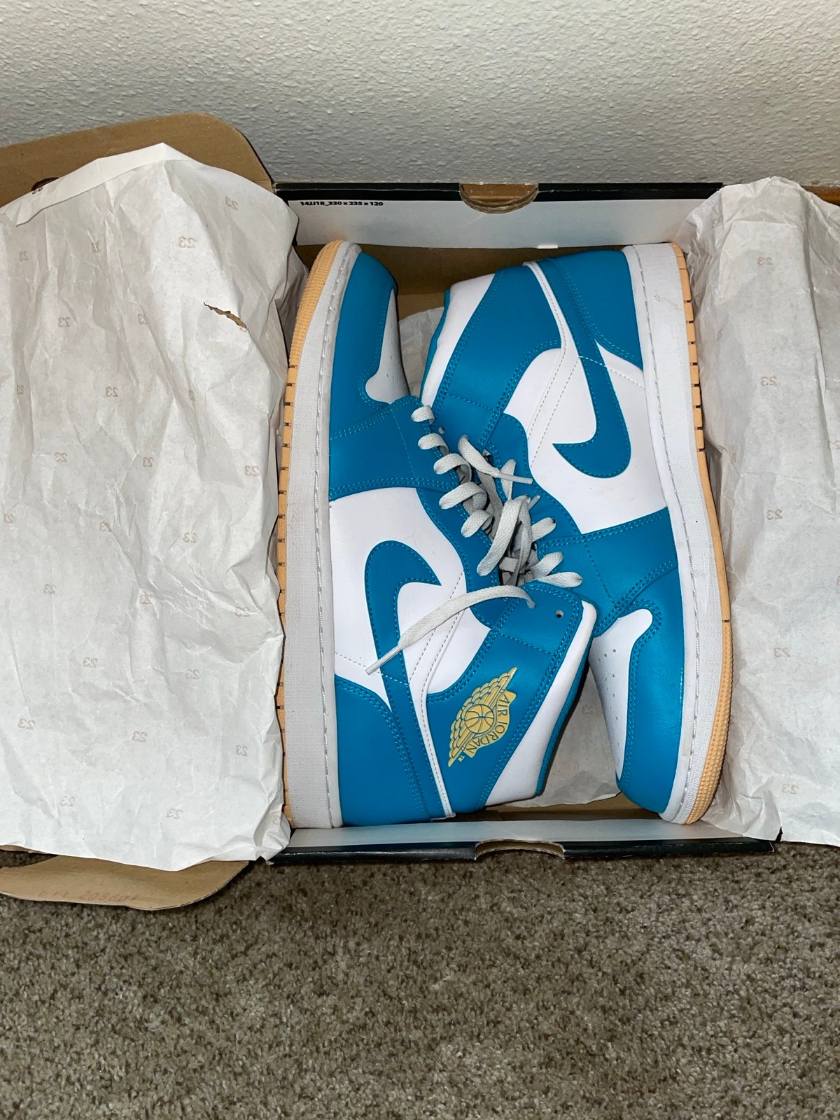 Air Jordan 1 size 14