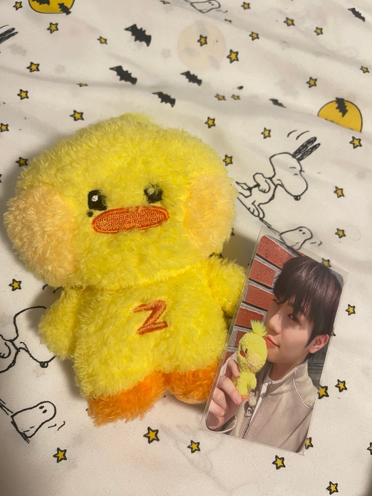 ZB1 Kim Taerae TAENINI Line Friends Zeroni Mini Plush Doll + PC 2024 Official