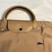 Longchamp bag large