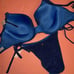 Victoria's Secret 36DD BIKINI M,XL Side-tie bottom diver BLUE SHIMMER glitter