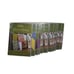 Lot of 13 National Quilters Circle Collection DVD - Instructional Sewing Videos