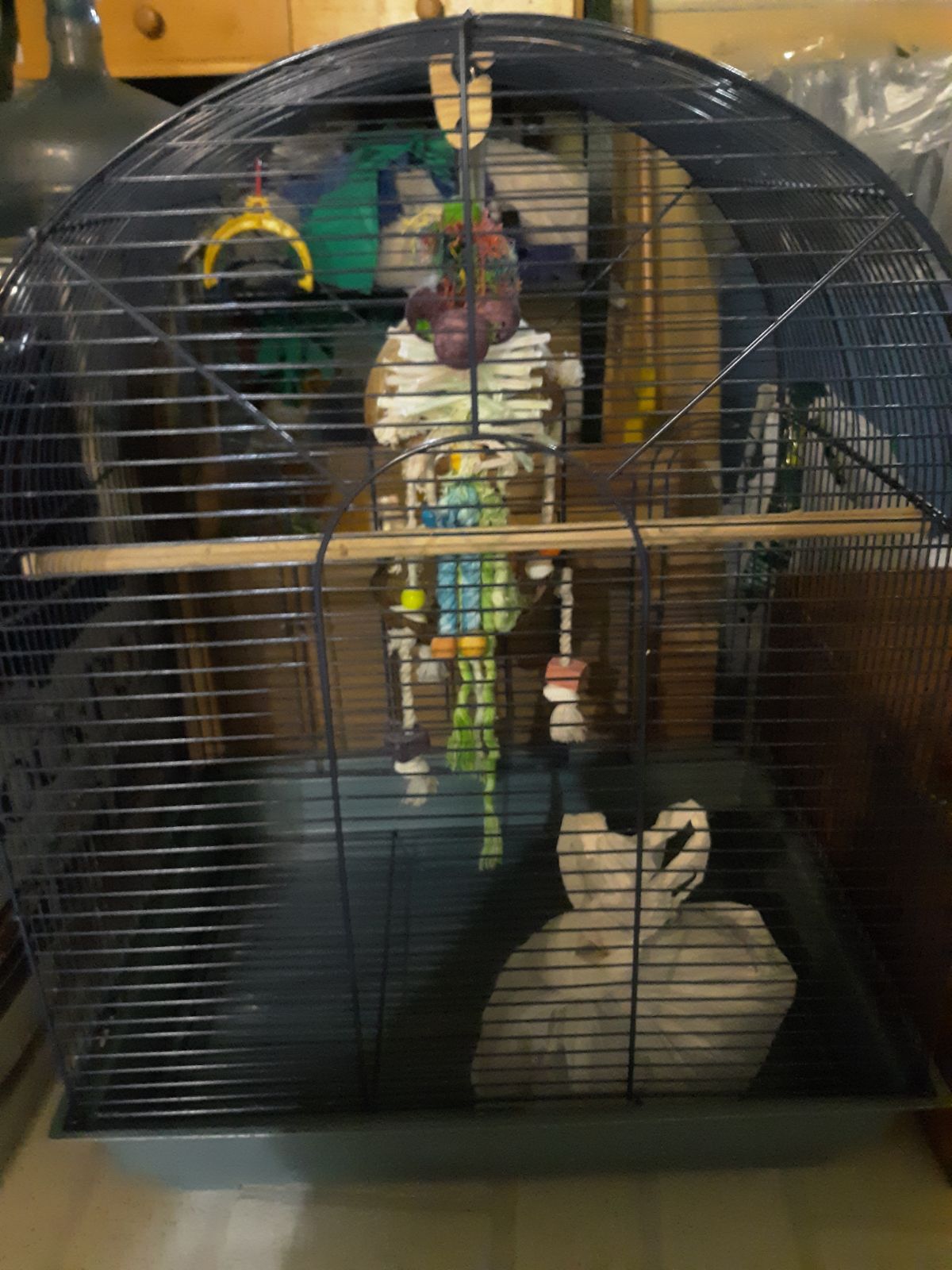 bird cage