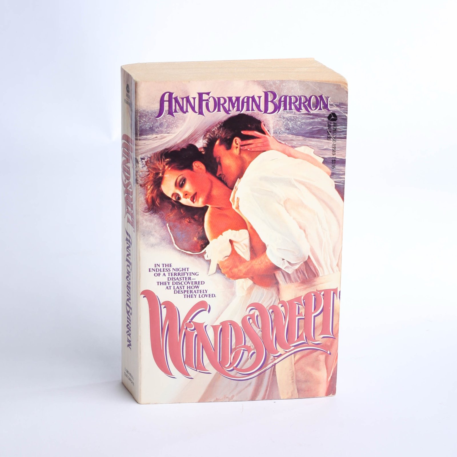 Windswept By Ann Forman Barron First Printing 1985 Paperback - Good Condition