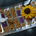 Rare Find Your Sun intact candle (earrings inside) with Sunflowers size 7 ring