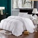 Goose down comforter king calking