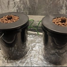 2-Plant Low-Pro DWC Complete Hydroponic System With 3.5-Gallon Reservoirs & Leca