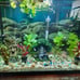 Hollow tree trunk for fish tank