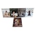 Magnolia Journal Set Magazines Lot Issues #1-29 Joanna Gaines 2016-2023