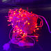 Evertine Led String Lights 500/1000 lights WS2811 Addressable RGB LED Pixels Lig