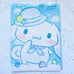 Cinnamoroll B4 Photo Background Sheets in Large Folder