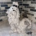 BLUE SKY Ceramic SHIH TZU TEAPOT