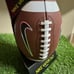 Nike UGA Dawgs Georgia Bulldogs Team Issue Vapor 24/7 Football Official Size NEW