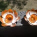 Garden Solar Light Outdoor(2Pack) , Amber Crackle Globe Glass Lotus Decoration