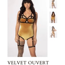 Solstice Intimates Mesh Ouvert Harness Bodysuit