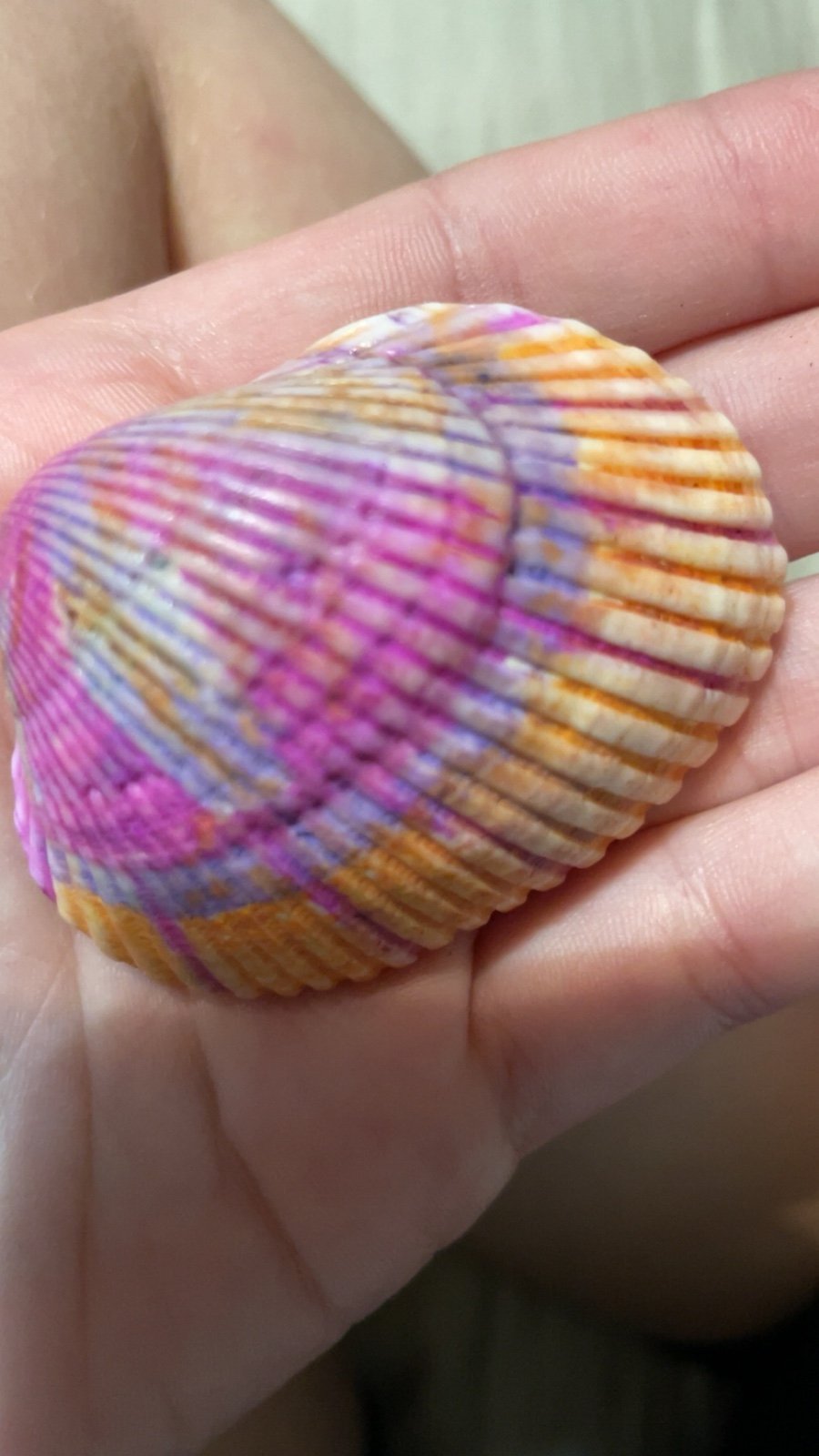 Shells