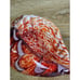 Hand Blown Art Glass Conch Sea Shell Decor Sculpture Red, Orange & White Swirl