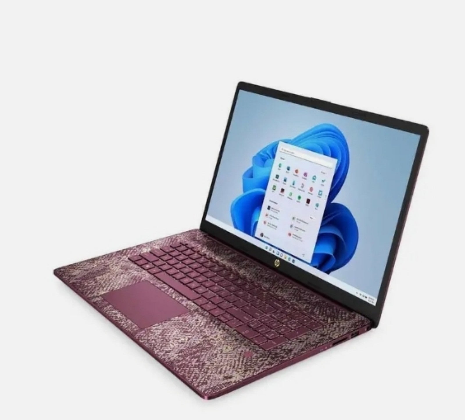 HP17 WIN 11 LAPTOP