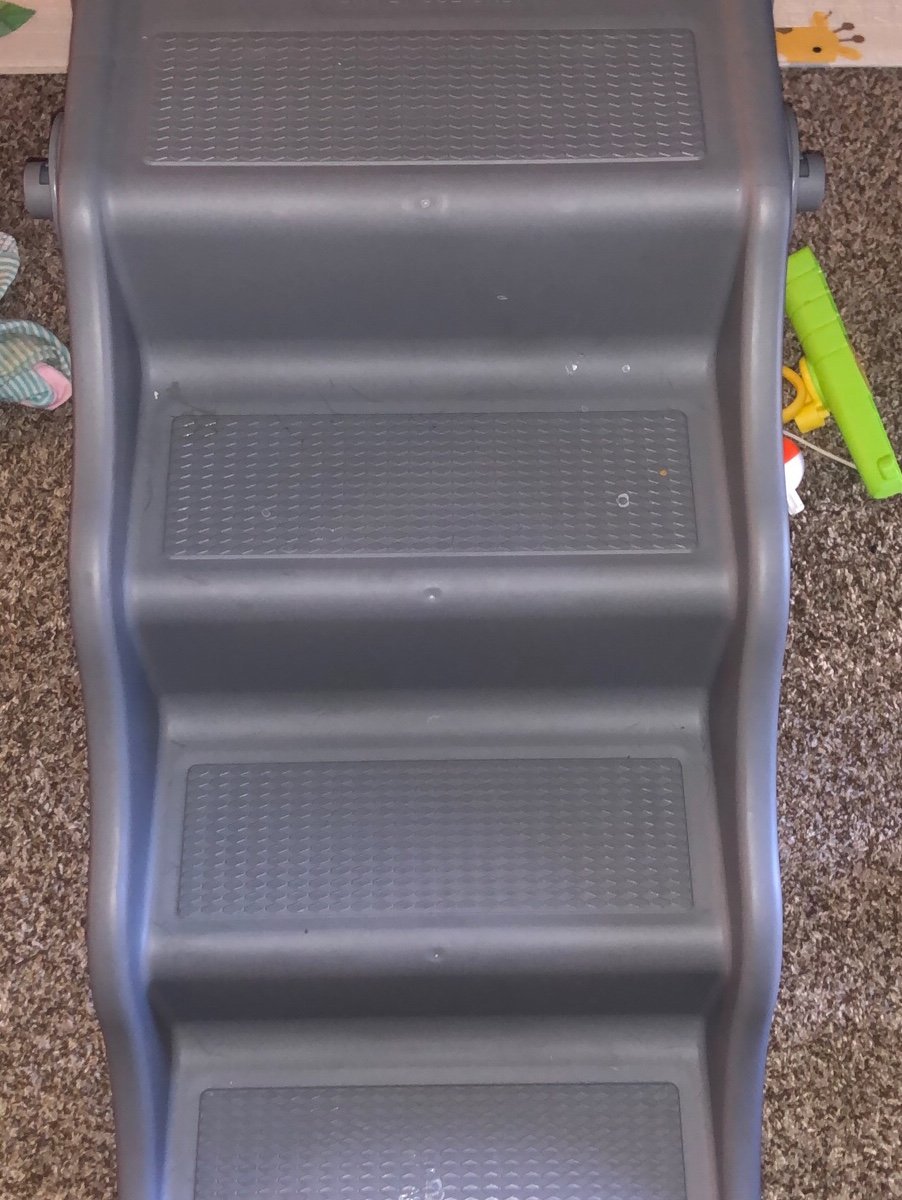 Puppy steps