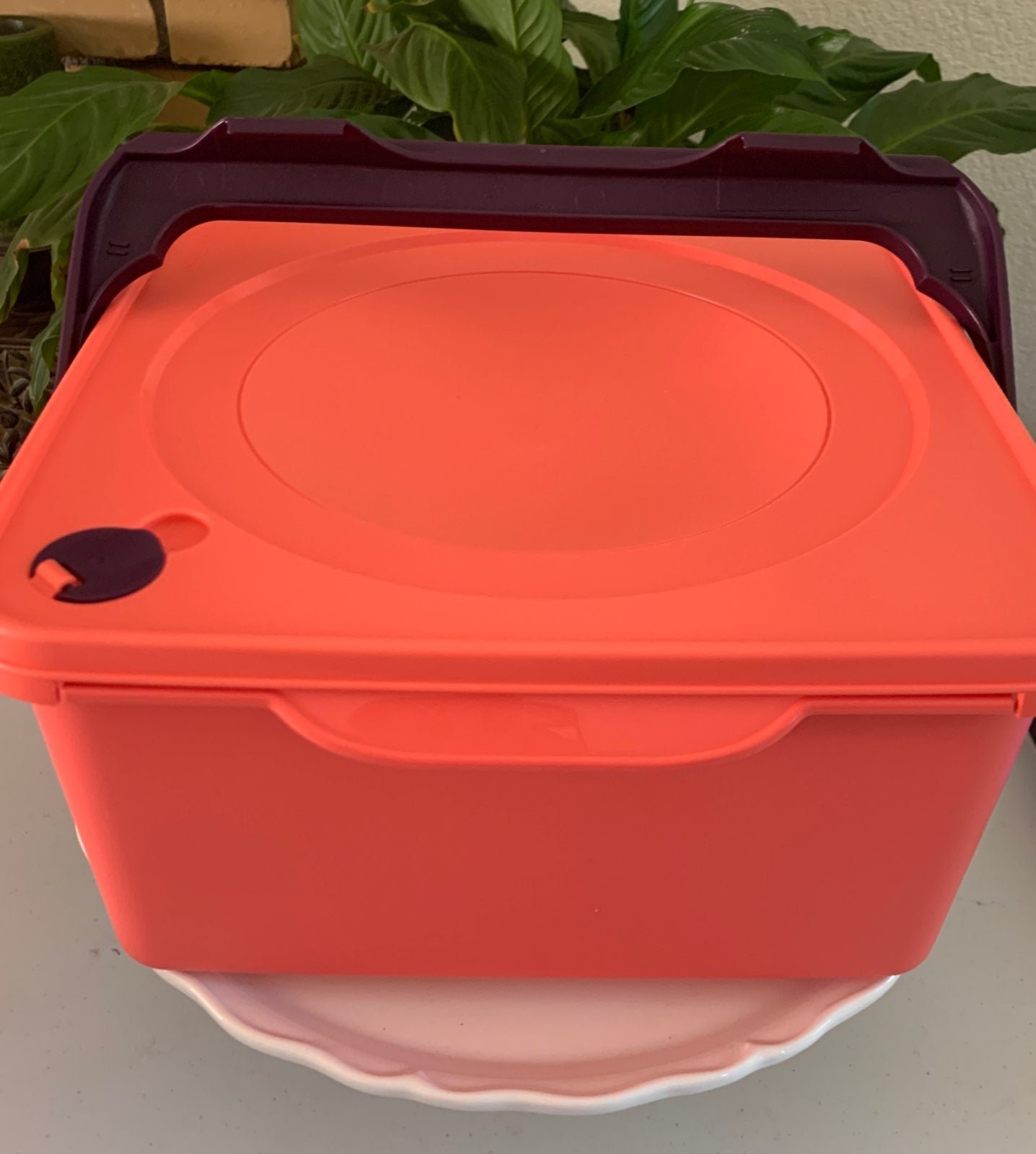 Tupperware Porta Picnic Kimchi Keeper